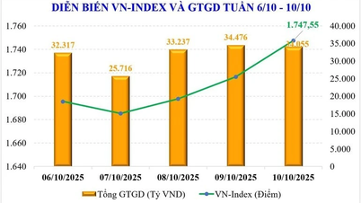 VN-Index sets new peak after upgrade, forecast to approach 1,800 point mark