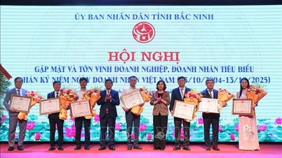 Bac Ninh ehrt vorbildliche Geschäftsleute und Unternehmen