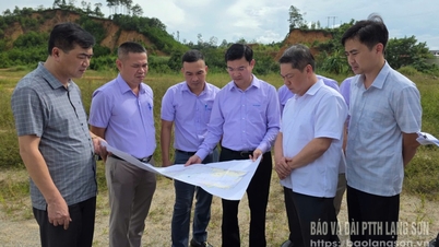 Liderii Comitetului Popular Provincial inspectează situația curățeniei amplasamentului din zona urbană Green Garden