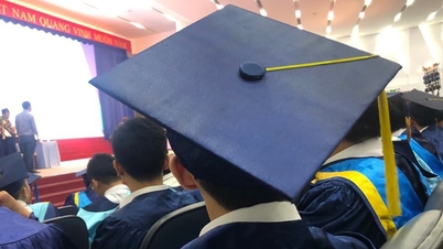 'University education certificate' is introduced into law for the first time, what's special?