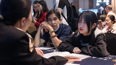 뉴질랜드, 베트남 유학생 비자 신청 1/3 이상 두 그룹으로 거부