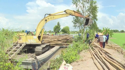Tây Ninh: Nước lũ dâng cao, hàng nghìn hecta lúa và cây ăn trái vùng Đồng Tháp Mười bị đe dọa