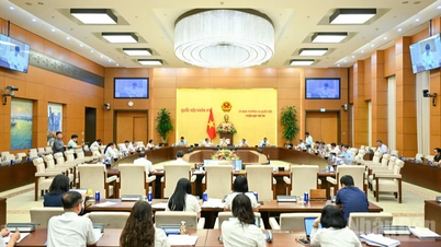 Công bố Nghị quyết Ủy ban Thường vụ Quốc hội khóa XV