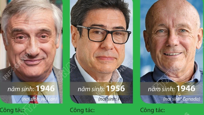 Giải Nobel Kinh tế 2025 tôn vinh 3 nhà khoa học