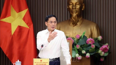Phó Thủ tướng Bùi Thanh Sơn chủ trì phiên họp Ban Chỉ đạo Lễ mở ký Công ước Hà Nội