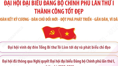 Đại hội đại biểu Đảng bộ Chính phủ lần I nhiệm kỳ 2025-2030 thành công tốt đẹp