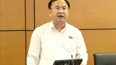Menyetujui Bapak Tran Duc Thuan untuk menduduki jabatan Wakil Ketua Komite Pertahanan, Keamanan, dan Luar Negeri Majelis Nasional.