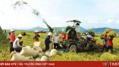 Farmers' Association contributes to the country's development