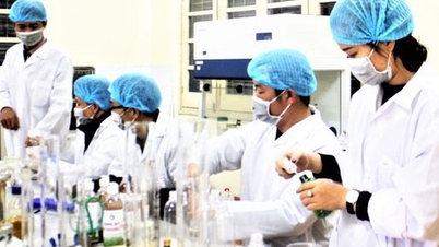 O Departamento de Ciência e Tecnologia recebeu e trabalhou com o Centro de Aplicação e Inicialização de Ciência e Tecnologia