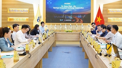 Promovendo o ecossistema de startups vietnamitas e coreanos
