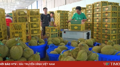 Exporturile agricole depășesc constant ținta de 65 miliarde USD