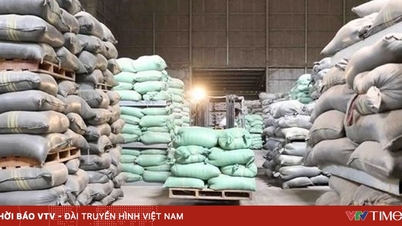 Ministry of Finance issues national reserve goods to support localities in overcoming flood consequences