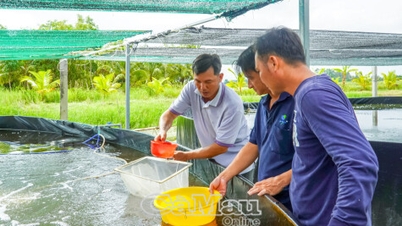 Thi đua tạo đột phá