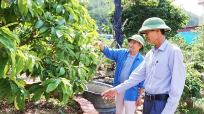 Vai trò nòng cốt trong phát triển nông nghiệp, nông thôn bền vững