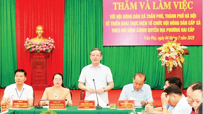 Syndicat des agriculteurs du Vietnam - 95 ans d'accompagnement de la nation