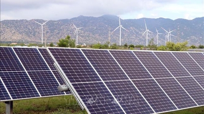 Strategischer Wendepunkt für Vietnams Energie – Teil 2: Unternehmen, die bereit sind, mitzumachen