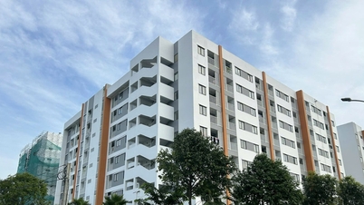 칸토시: '깨끗한' 토지를 소유한 사람과 기업은 사회주택 건설에 참여할 수 있습니다.