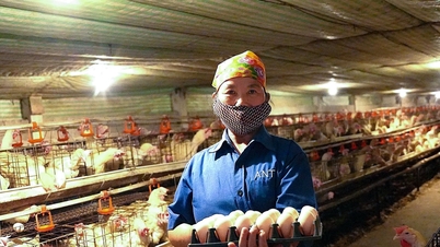 Momentum dari gerakan petani Nghe An untuk bersaing dalam produksi dan bisnis yang baik