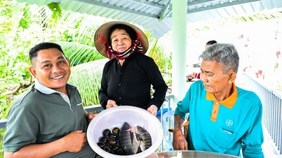 U Minh Thuong construit une nouvelle vie