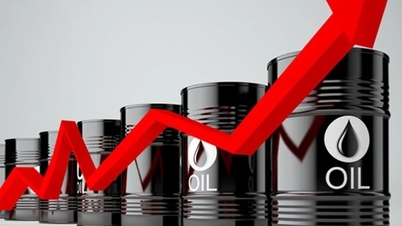 本日のガソリン価格(10月14日):緑色を取り戻す