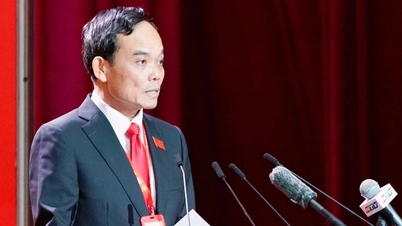 Secretary Tran Luu Quang: We must frankly ask where Ho Chi Minh City stands.