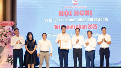 Hội Doanh nhân trẻ Bình Định triển khai 35 hoạt động kết nối, giao thương