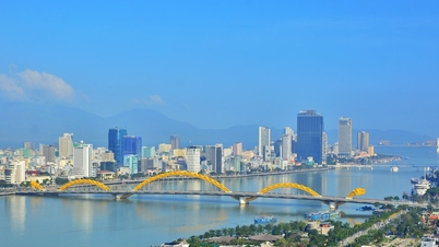 Da Nang takes strong action against price manipulation and real estate speculation