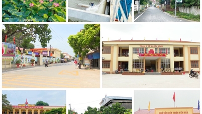 Hoạt động sản xuất chăn nuôi trên địa bàn tỉnh được duy trì ổn định