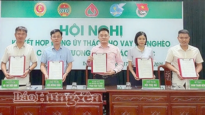 Women of Tran Hung Dao ward actively participate in building a civilized and developed urban area.