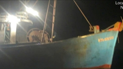 ラムドン省の海域を侵犯したトロール船2隻がさらに逮捕