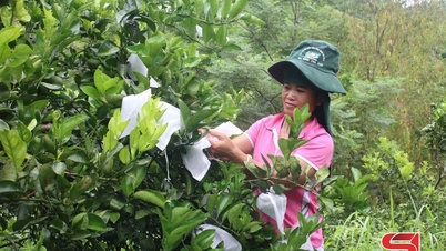 Mường Sại giữ vững đạt chuẩn nông thôn mới