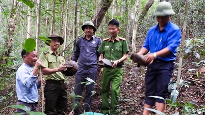 O pangolim de Java e a tartaruga da montanha listados no Livro Vermelho foram soltos no Parque Nacional Kon Ka Kinh.