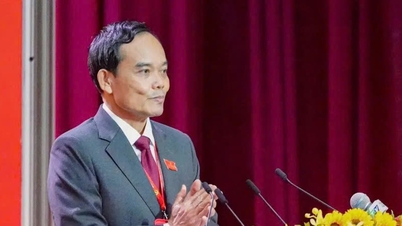 Politbiro menunjuk Tn. Tran Luu Quang sebagai Sekretaris Komite Partai Kota Ho Chi Minh untuk masa jabatan 2025-2030.