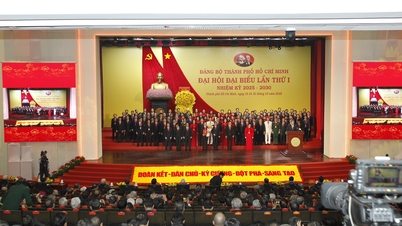 Bapak Tran Luu Quang tetap menjabat sebagai Sekretaris Komite Partai Kota Ho Chi Minh untuk masa jabatan 2025 - 2030.
