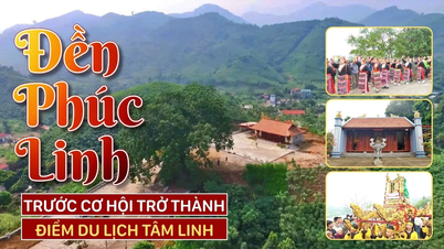 ប្រាសាទ Phuc Linh មានឱកាសក្លាយជាគោលដៅទេសចរណ៍ខាងវិញ្ញាណដ៏ទាក់ទាញ។