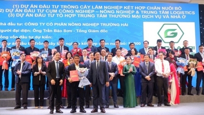 THACO AGRI commits to deploy 5 projects, capital of 11,000 billion VND in Tay Gia Lai