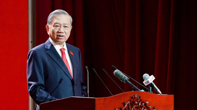 Komite Partai Kota Ho Chi Minh perlu mewujudkan semangat resolusi strategis Politbiro ke dalam praktik pembangunan.