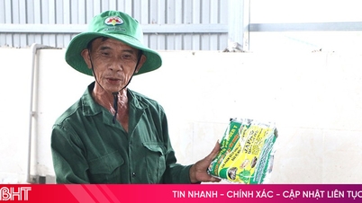 Con el apoyo del Grupo Que Lam, los agricultores de Ha Tinh convierten la basura en fertilizante orgánico.