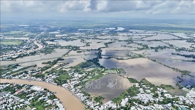 Les prévisions du niveau d'eau sur la rivière Hau au cours des 5 prochains jours devraient rester proches du niveau d'alerte 2.