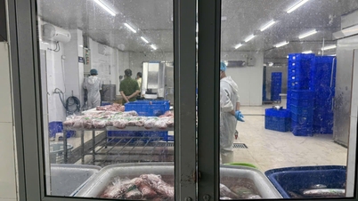 Bóc trần hàng loạt đường dây sản xuất, buôn bán hàng giả quy mô nghìn tỷ