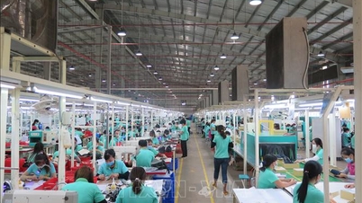 Niềm tin doanh nghiệp châu Âu tại Việt Nam cao nhất trong ba năm qua