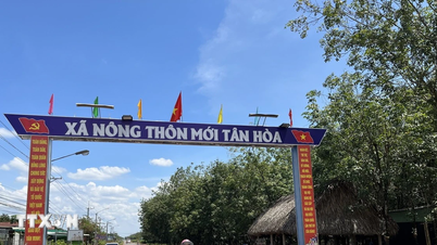 Tay Ninh: کمیون کی سطح پر انتظامی طریقہ کار کو سنبھالنے میں لچک