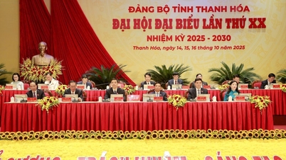 The 20th Congress of Thanh Hoa Provincial Party Committee, term 2025 - 2030, held a preparatory session.