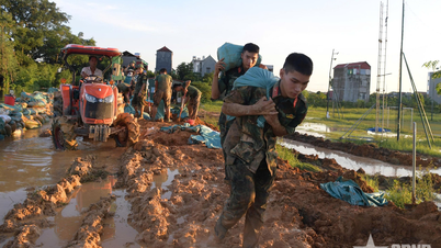 Những “Sơn Tinh” của thời đại