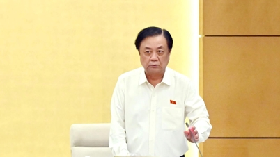 정책 영향을 충분히 평가하고 손실과 낭비를 방지합니다.