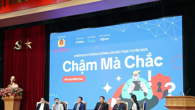Respondendo à Convenção de Hanói: Lançando uma campanha contra a fraude online