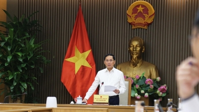 Vice-primeiro-ministro Bui Thanh Son: Garantindo a cerimônia de assinatura mais bem-sucedida da Convenção de Hanói