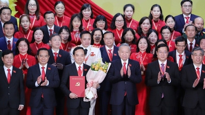 លោក Tran Luu Quang បន្តត្រូវបានតែងតាំងជាលេខាគណៈកម្មាធិការបក្សទីក្រុងហូជីមិញ។