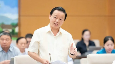 희토류에 대한 특별 관리 메커니즘 필요