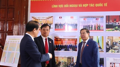 ディエンビエン省党委員会第15回大会を歓迎する写真展